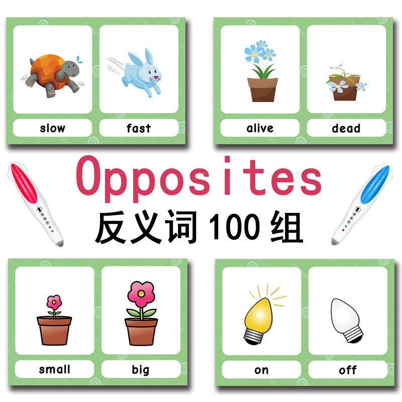 100 Gruppi di Carte Flash con  - Kids Education Product recensione e prezzo