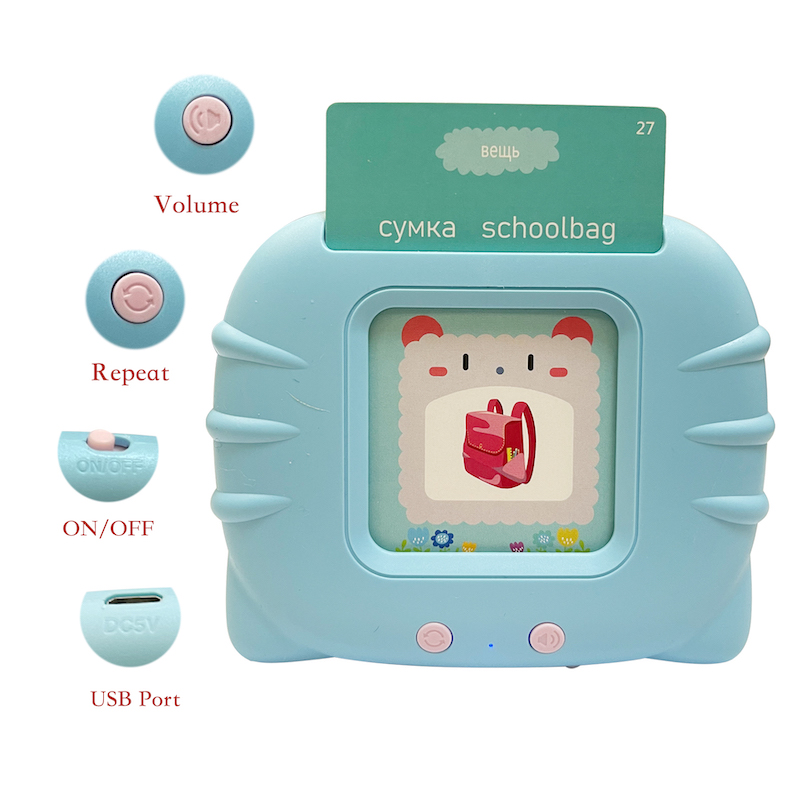 Inglese russo che prende le ca - Flash Card Alphabet recensione e prezzo
