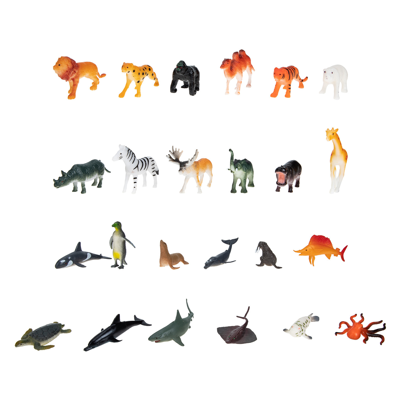 Set di 24 Animali Marini in Pl - Kids Early Education Photos recensione e prezzo